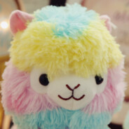 阳光彩虹草尼🐎