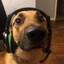 El Perro Cachondo