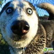 大哥你带着孩子先跑