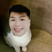 llym（恩师日天）