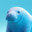 Manatee
