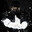 Grandmaster_Blueberry_Ice avatar
