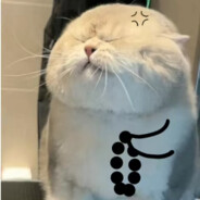 奥尔良番茄1009918956syj