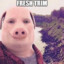 john pork