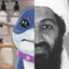 Osama Fin Laden