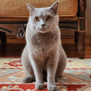 BBK-AkSungur - steam id 76561199500352555