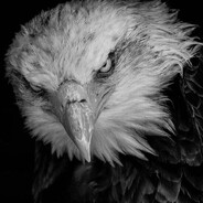 EERROR - steam id 76561199130442002