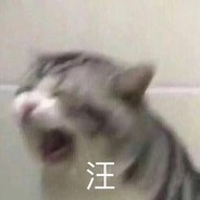 喵喵大叫