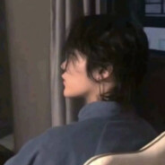 想变成小电这样就可以进入姐姐的哨兵了