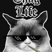 ✪NRT_NetroS # Thuge Life✪