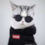 Mr_spy