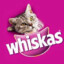 whiskas