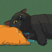 晕远德氪B无赖winter