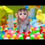 funnymonkeyplayz16@yahoo.com