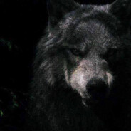 KeshaWolf89