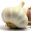Knoblauchspieler