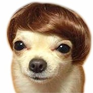 Mads's Avatar