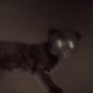 Avatar snapshot