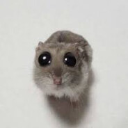 дибелі яйця