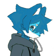 今夜养的波斯猫