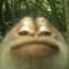Immobilized Monkey
