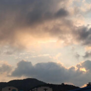 苦恼让我喝完可乐