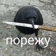 Опасная ворона