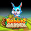 Rabbit Garden