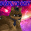 CosmicCat