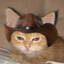 Кулька's avatar