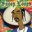 Snoop Loops