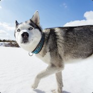 Big Avatar