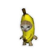 Banana Cat