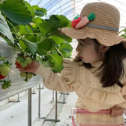 拉登是我干掉的