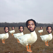 Waka Flocka Geese