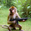 Rambo Monkey