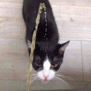 ææææææææææææææææ