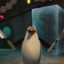 EL PINGÜINO