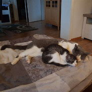 𝕄𝒶𝒙_𝕫𝖔𝐜𝓀