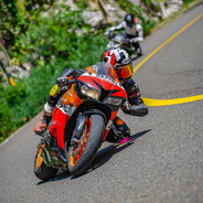 麻花像只大海参