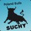 Suchy