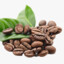 coffeebean