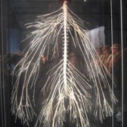 我是一个儒雅随和的人