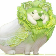 不会ak不改名的菜狗