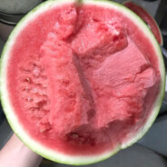 绝望的主妇一拳干碎这个世界