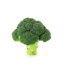 BROCOLI