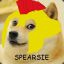 Spearsie