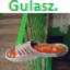 gulasz