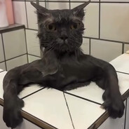 ---> b0t <--- - steam id 76561198851399387