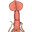 SenileSquid36